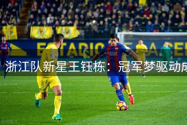 浙江队新星王钰栋：冠军梦驱动成长 坦言受益外援指点