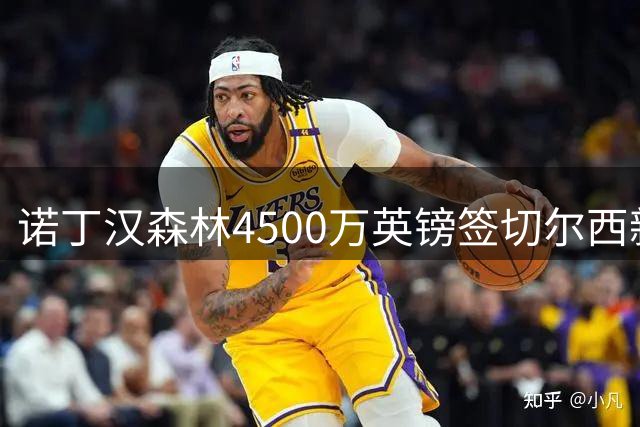 诺丁汉森林4500万英镑签切尔西新星创队史新高