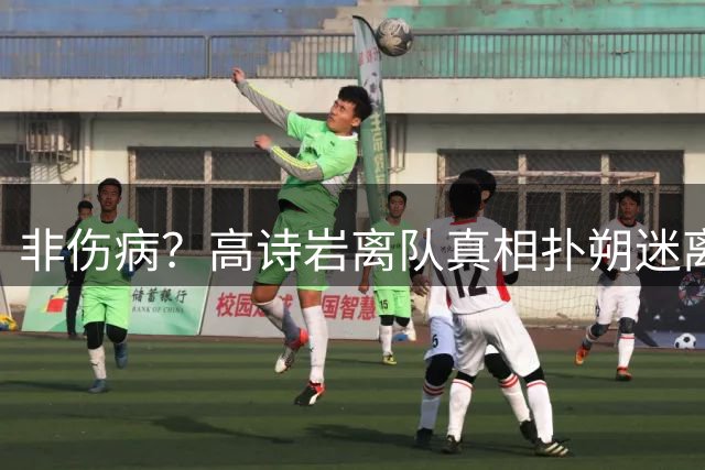 非伤病？高诗岩离队真相扑朔迷离，男篮阵容变天，赵睿要回来了？