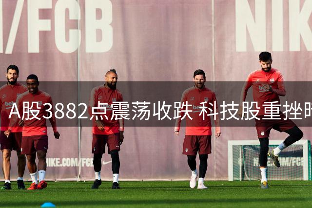 A股3882点震荡收跌 科技股重挫暗藏市场变局